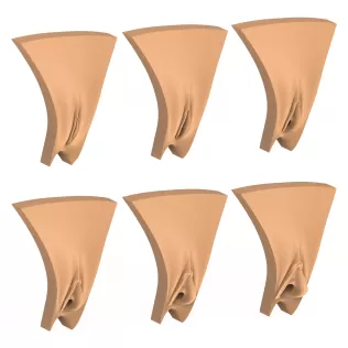 3D Print Ready Vagina Stage Collection - Model thumbnail 8