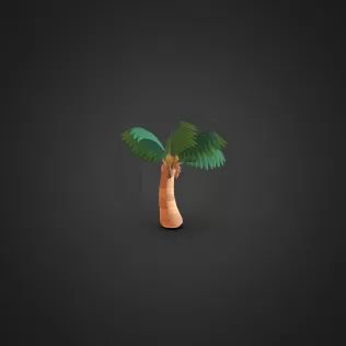 Palm Tree