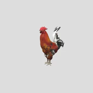 Majestic Rooster