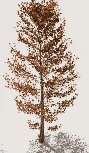 3D autumn trees - Model preview 2
