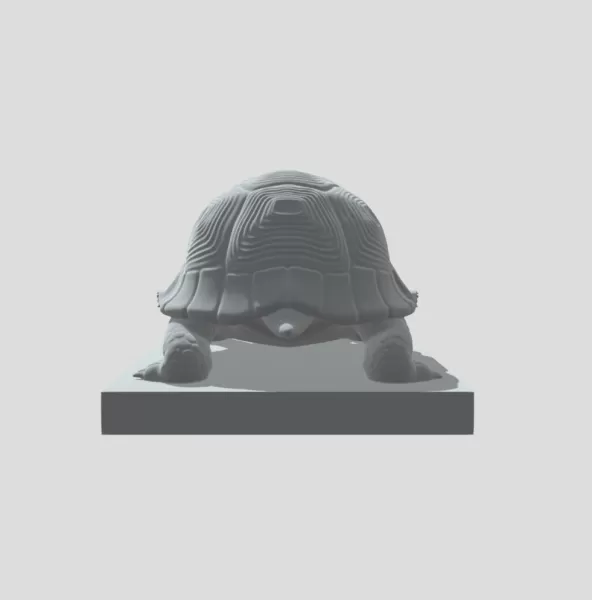 Staircase Turtle - Model preview 3