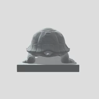 Staircase Turtle - Model thumbnail 3