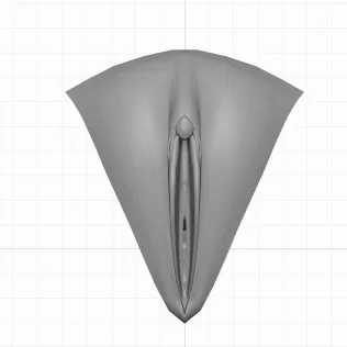 GENITALIA fEMALE - Model thumbnail 4