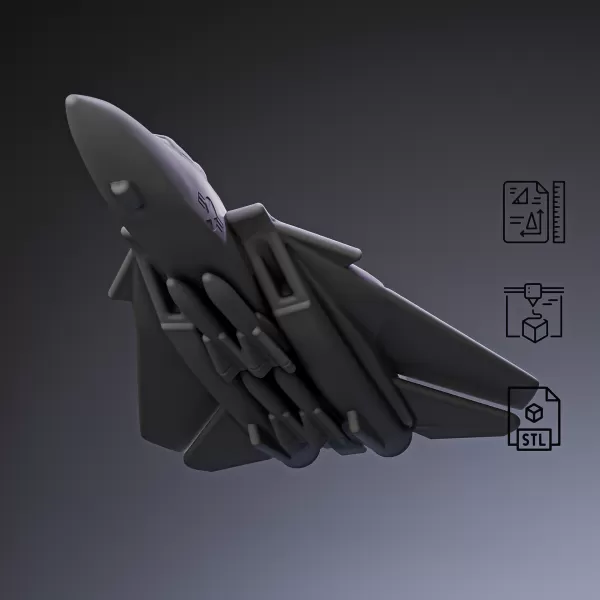 F-14 Fighter Jet #RoZ - Model preview 1