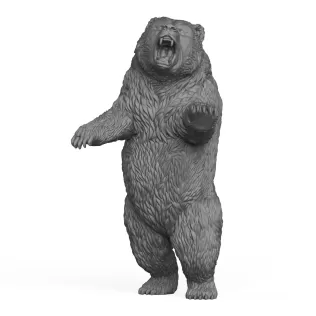 Wild Bear - Model thumbnail 2