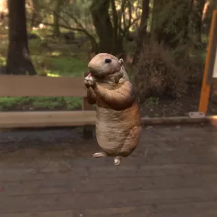 Hamster