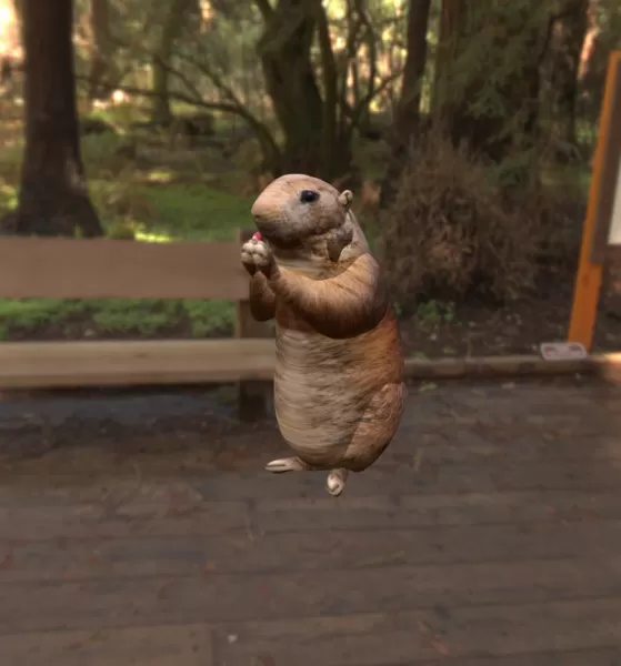 Hamster - Model preview 1