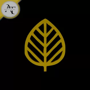 Simple Leaf Symbol - 2D Art
