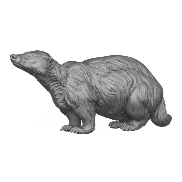 Wild Badger Animal 3D Print Model - Model preview 1