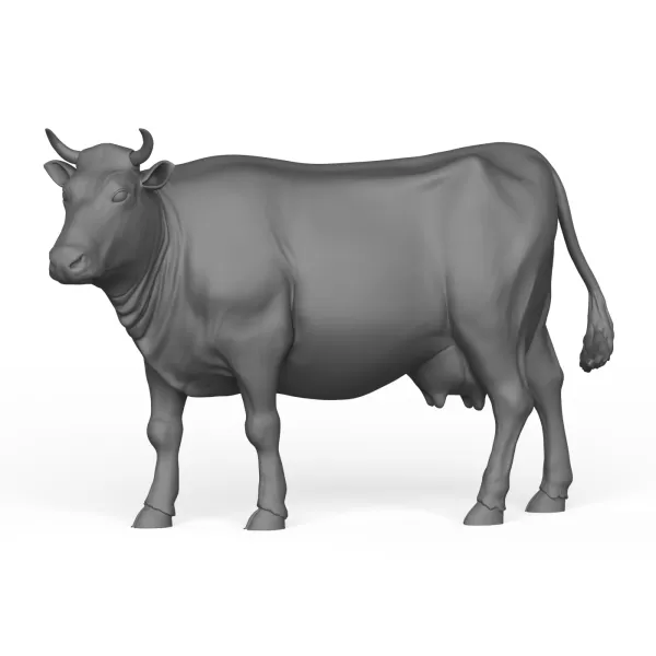 Cow - Model preview 3