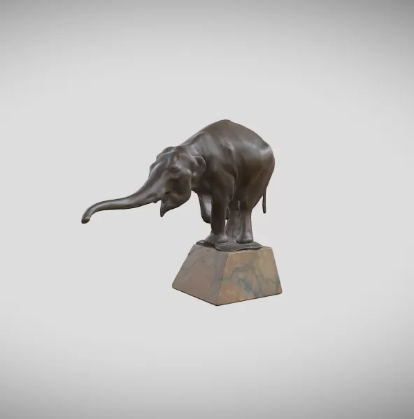 Elephant - Model preview 1