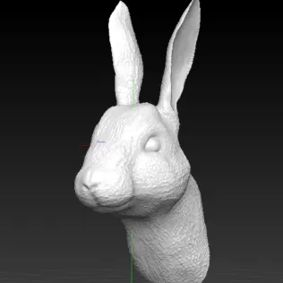 Rabbit Bust - Model thumbnail 2