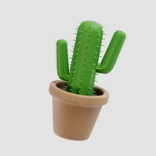 Cactus Plant - Model thumbnail 8