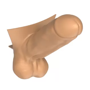3D Print Ready Straight Erect Penis - Model thumbnail 5
