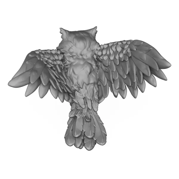 Owl Bird - Model preview 4