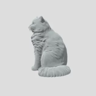 Detailed Cat - Model thumbnail 2