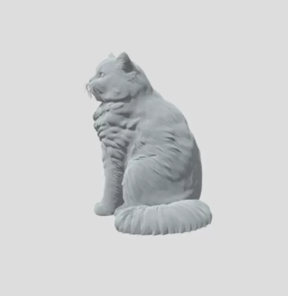 Detailed Cat - Model preview 2
