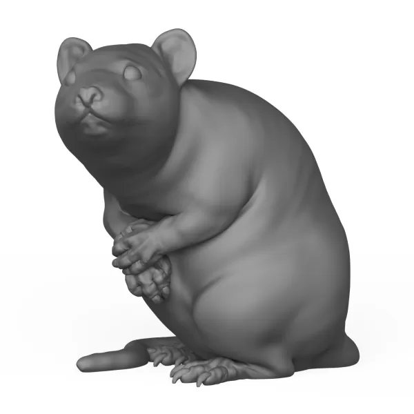Rat Animal Pose - Model preview 1