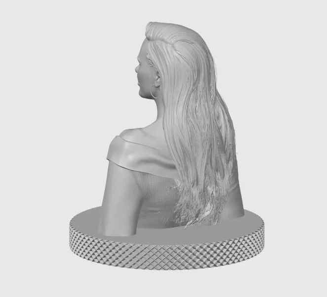 Hilary Swank 3D Bust Print - Model preview 6