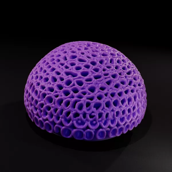 Marine Alveolar Coral 3D Printable Model - Model preview 2