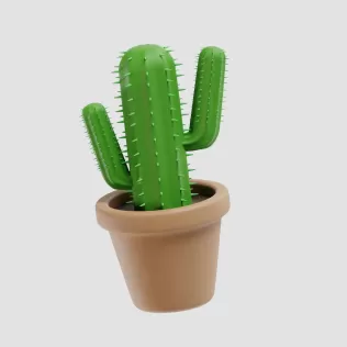 Cactus Plant - Model thumbnail 7