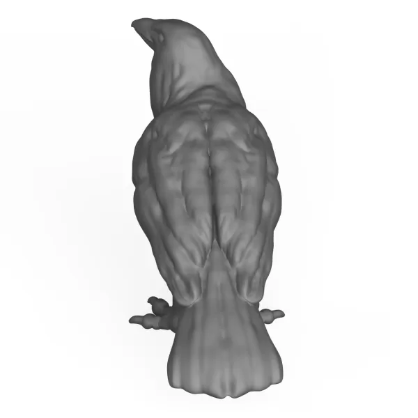 Crow Bird - Model preview 4