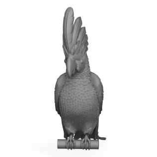 Cacadu Parrot Bird - Model thumbnail 2
