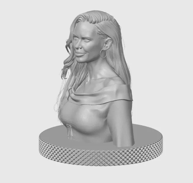 Hilary Swank 3D Bust Print - Model preview 4