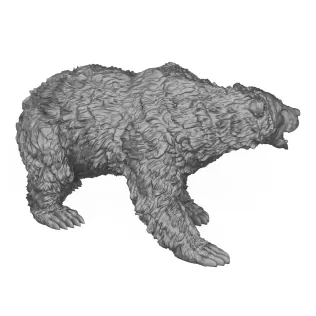 Wild Polar Bear 3D Print Model - Model thumbnail 3