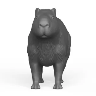 Capybara - Model thumbnail 2