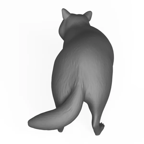 Racoon Animal - Model preview 4