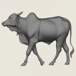 Indian Ox Print Ready 3D Model - Model thumbnail 3