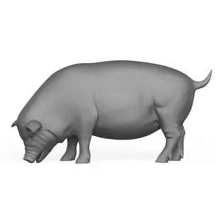 3D Printable Pig Eating Pose - Model thumbnail 3