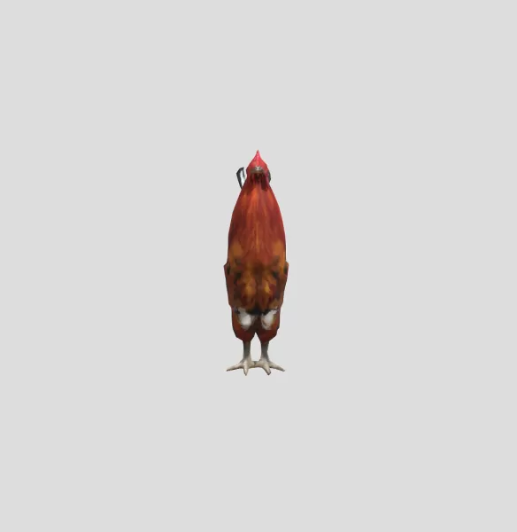 Majestic Rooster - Model preview 2
