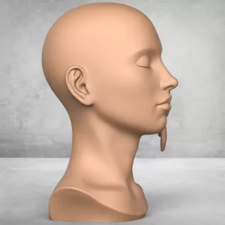 Woman Face With Bird Sculpture - Model thumbnail 3