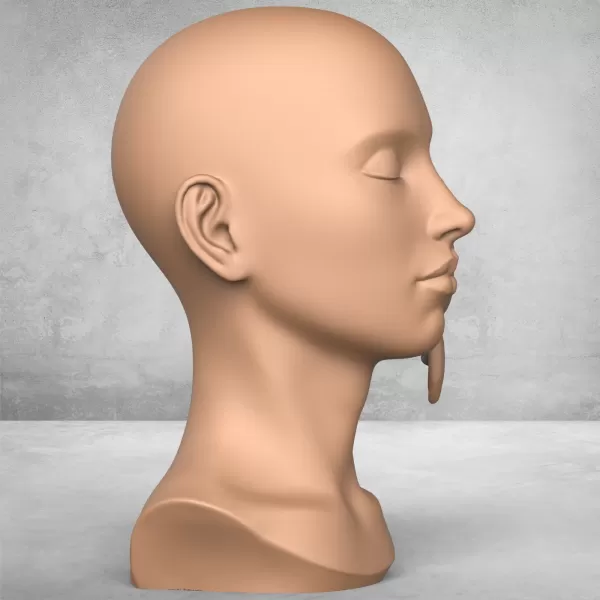 Woman Face With Bird Sculpture - Model preview 3
