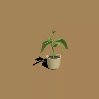 planta - Model thumbnail 2