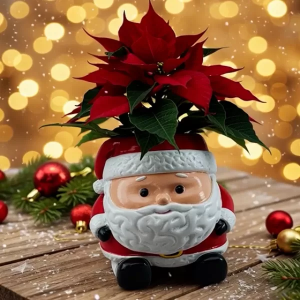 Santa Claus pencil holder / flower pot - Model preview 4