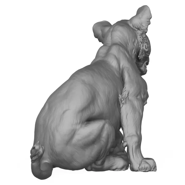 3D Printable Lion Cub - Model preview 4