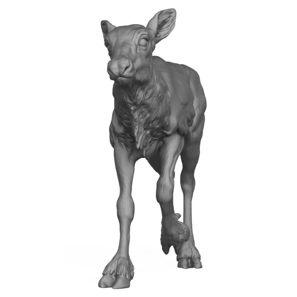 3D Printable Reindeer Calf Standing Pose - Model preview 2