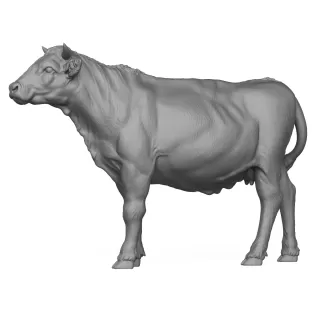 3D Printable Young Cow - Model thumbnail 6