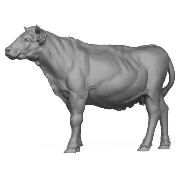 3D Printable Young Cow - Model preview 6