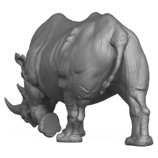 3D Printable Wild Animal Rhinoceros