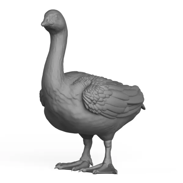 Goose Bird - Model preview 1