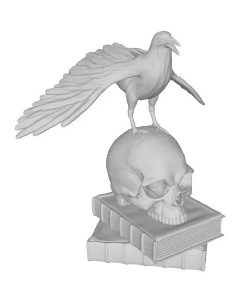 BOOKS AND CROWS - Model preview 1