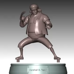 Marshall D Teach Young - One Piece - Model thumbnail 9