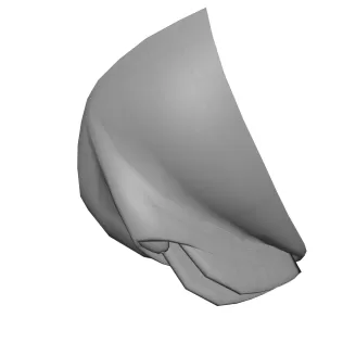 GENITALIA fEMALE - Model thumbnail 2