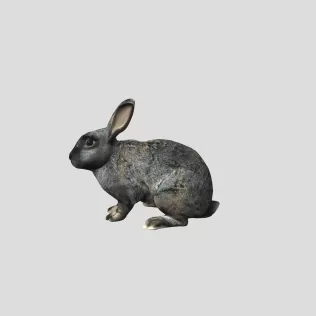 Two Rabbits on a Blue Grid Floor - Model thumbnail 3