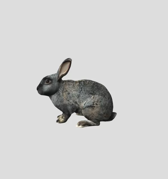 Two Rabbits on a Blue Grid Floor - Model preview 3