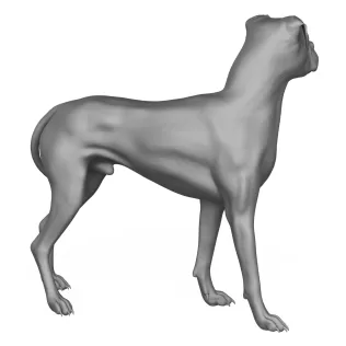 Boxer Dog Alert Pose 3D Print Model - Model thumbnail 5